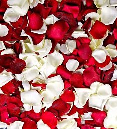 Лепестки роз