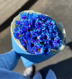 Букет из 5 синих кустовых хризантем