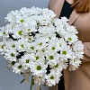 Букеты белых хризантем