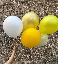 Композиция из воздушных шаров "Sunny"