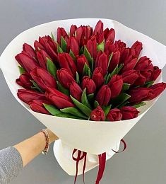 Букет из 35 красных голландских тюльпанов в оформлении