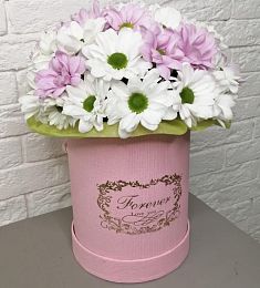 9 хризантем в коробке