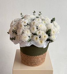 Композиция "Олив"